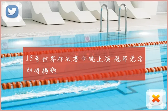 15号世界杯决赛今晚上演 冠军悬念即将揭晓